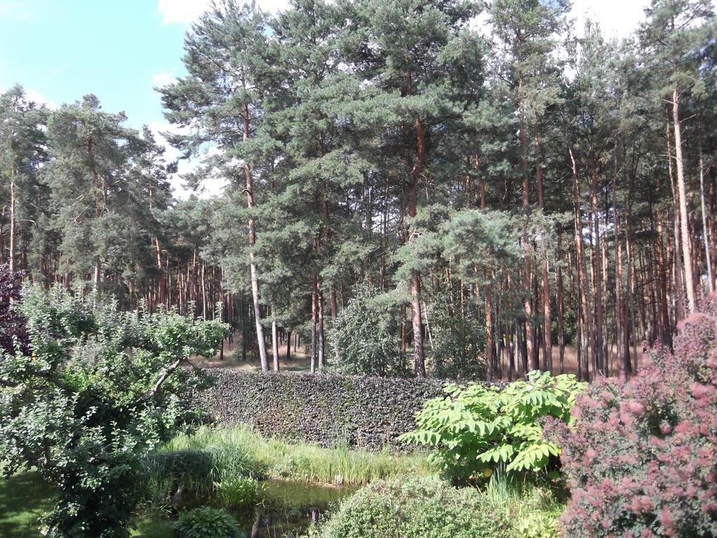Amselgarten Люббен Екстер'єр фото