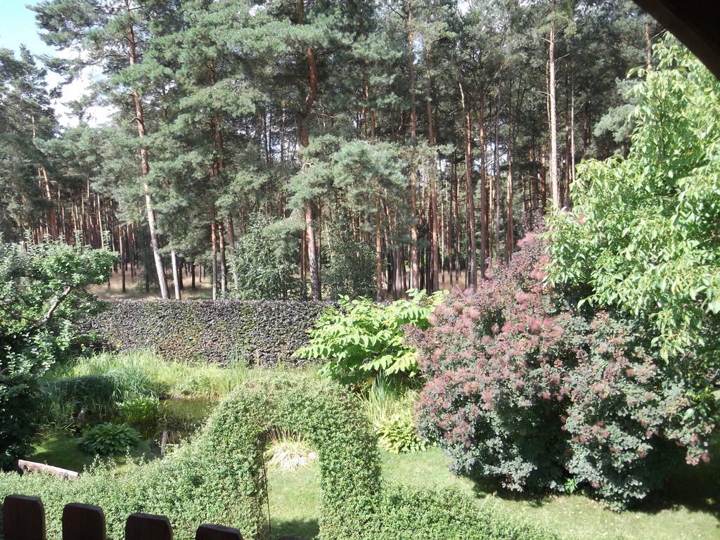 Amselgarten Люббен Екстер'єр фото